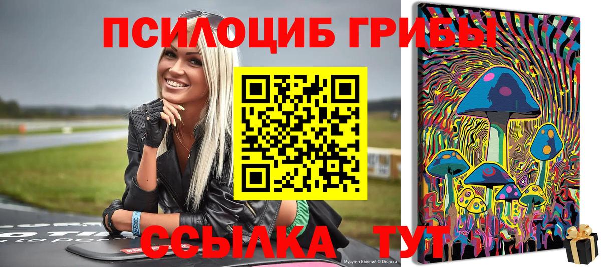 Псилоцибиновые грибы Psilocybe  цена   Рыбинск  Вход с VPN 